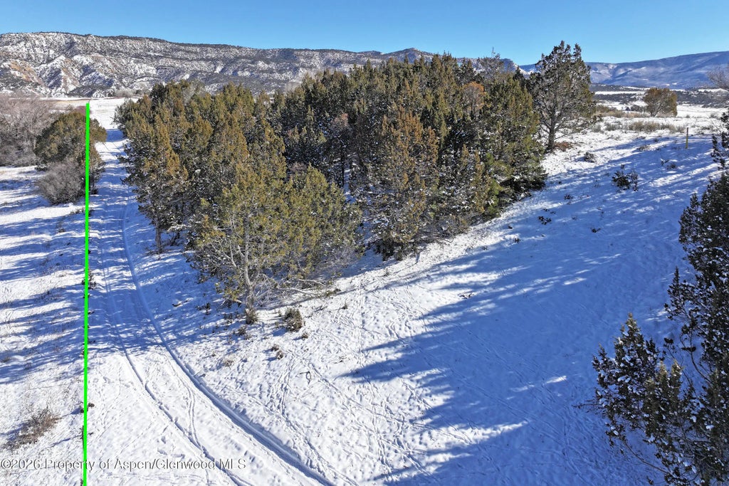 9 of 20 - 555 Glenarm Avenue, Collbran, CO