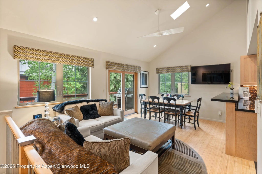 322 Park Avenue Unit 1, Aspen