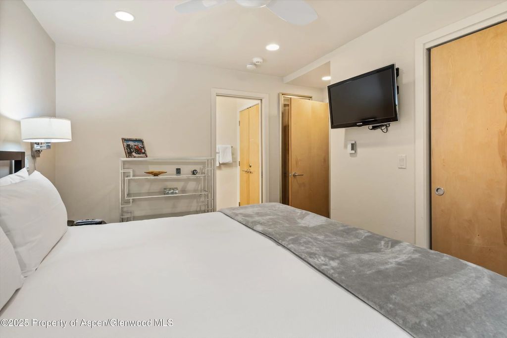 12 of 22 - 322 Park Avenue Unit 1, Aspen, CO