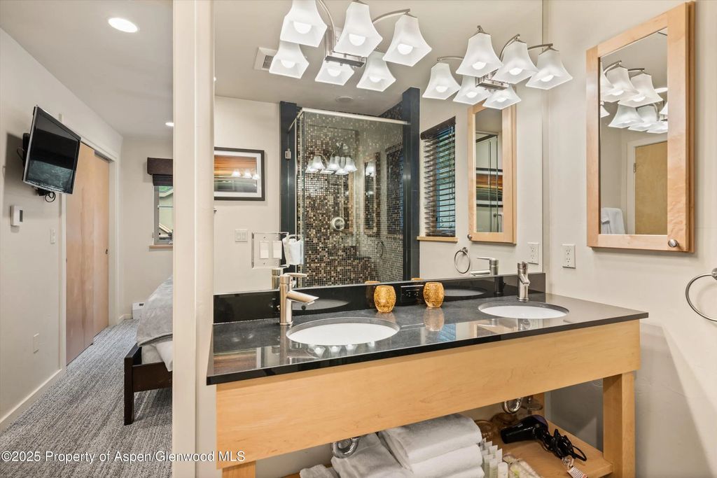 14 of 22 - 322 Park Avenue Unit 1, Aspen, CO
