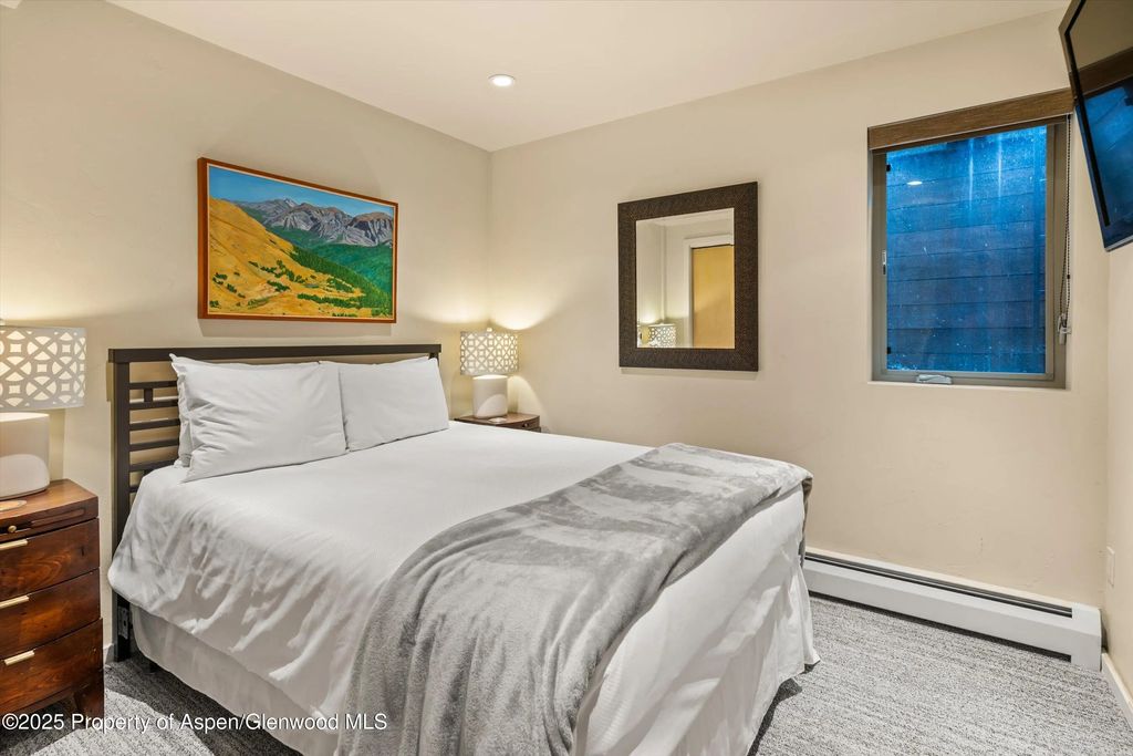 17 of 22 - 322 Park Avenue Unit 1, Aspen, CO