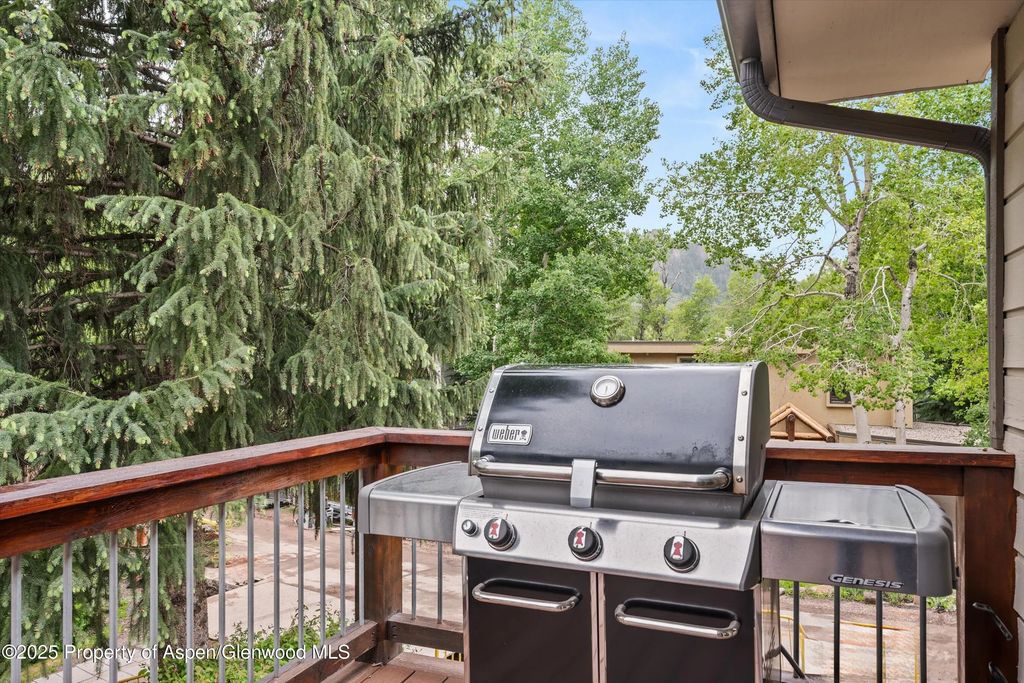21 of 22 - 322 Park Avenue Unit 1, Aspen, CO