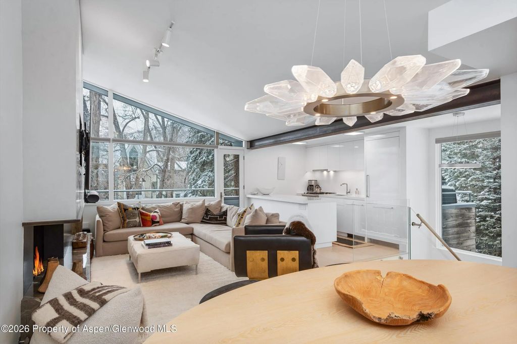 6 of 19 - 1001 E Cooper Avenue 1, Aspen, CO