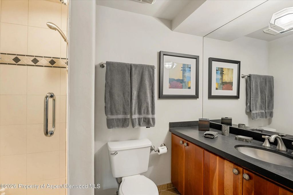 12 of 27 - 650 S Monarch Street 9, Aspen, CO