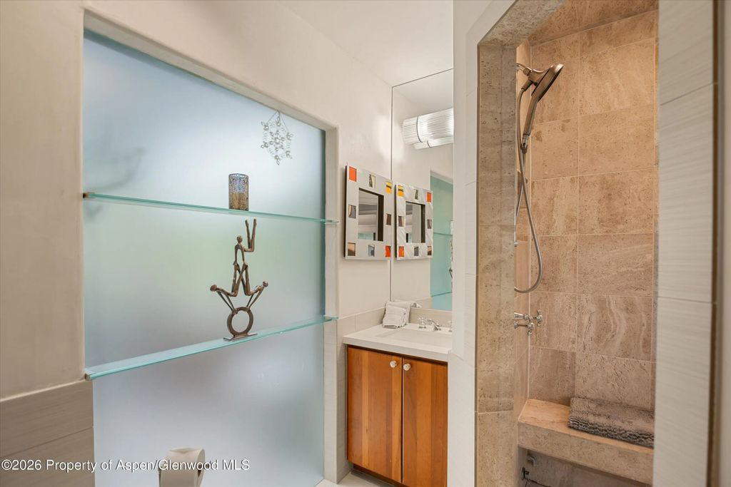 14 of 27 - 650 S Monarch Street 9, Aspen, CO