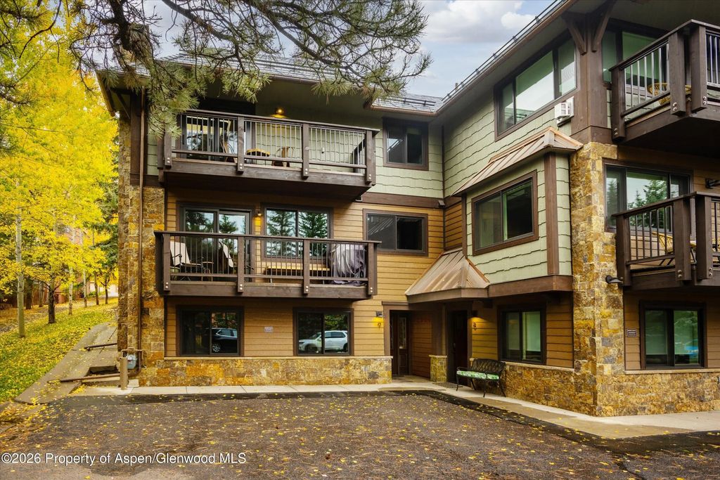 20 of 27 - 650 S Monarch Street 9, Aspen, CO
