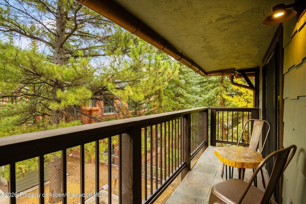 23 of 27 - 650 S Monarch Street 9, Aspen, CO