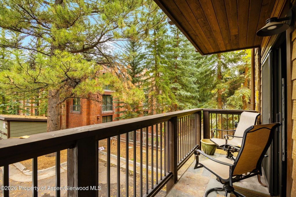 24 of 27 - 650 S Monarch Street 9, Aspen, CO
