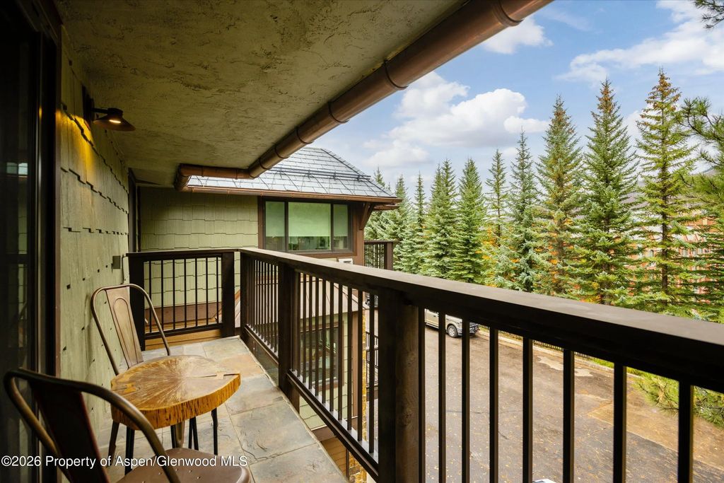 25 of 27 - 650 S Monarch Street 9, Aspen, CO