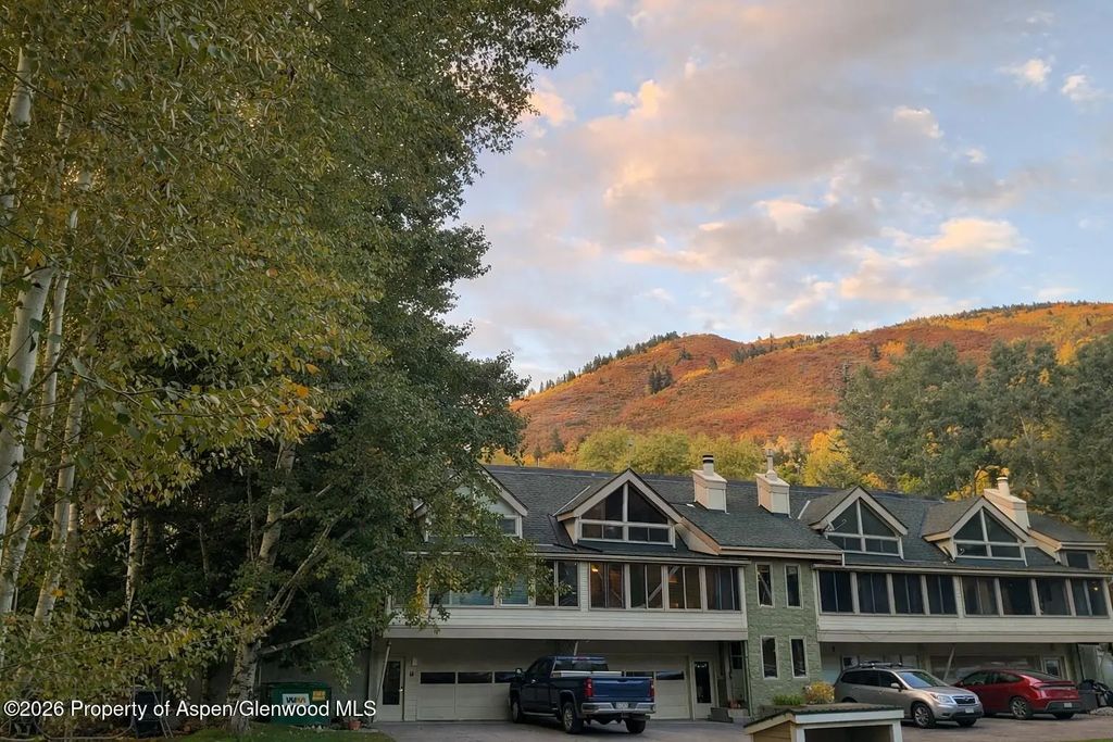 409 Park Circle 2, Aspen