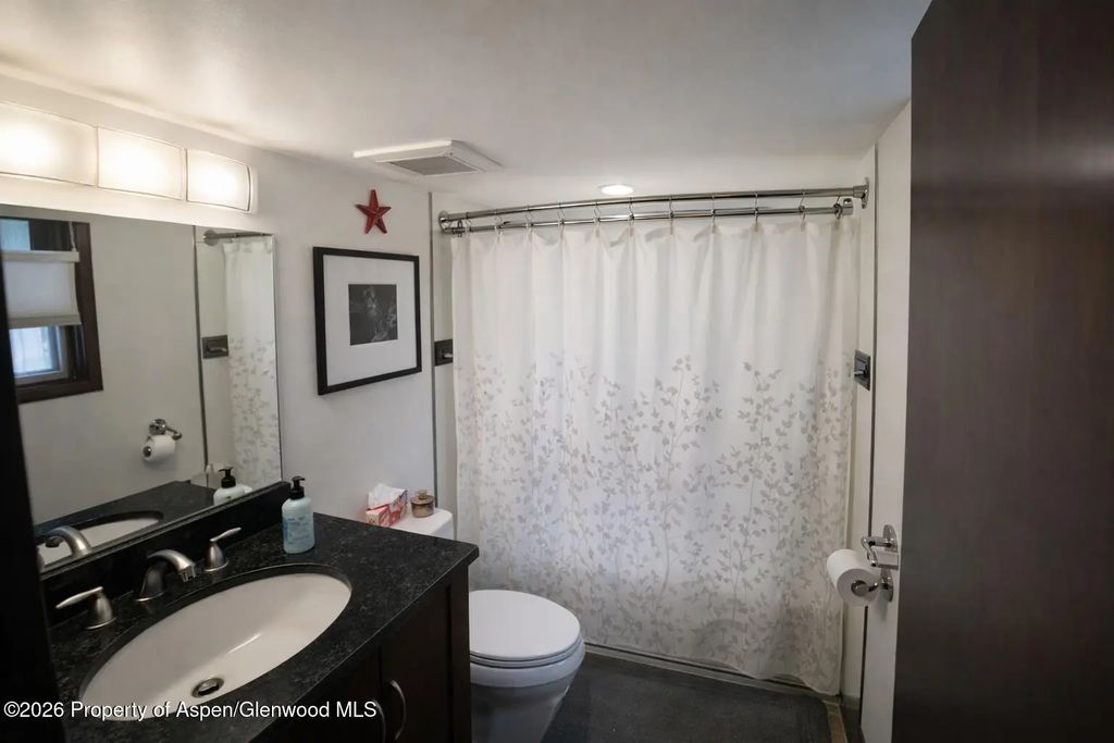 9 of 17 - 409 Park Circle 2, Aspen, CO