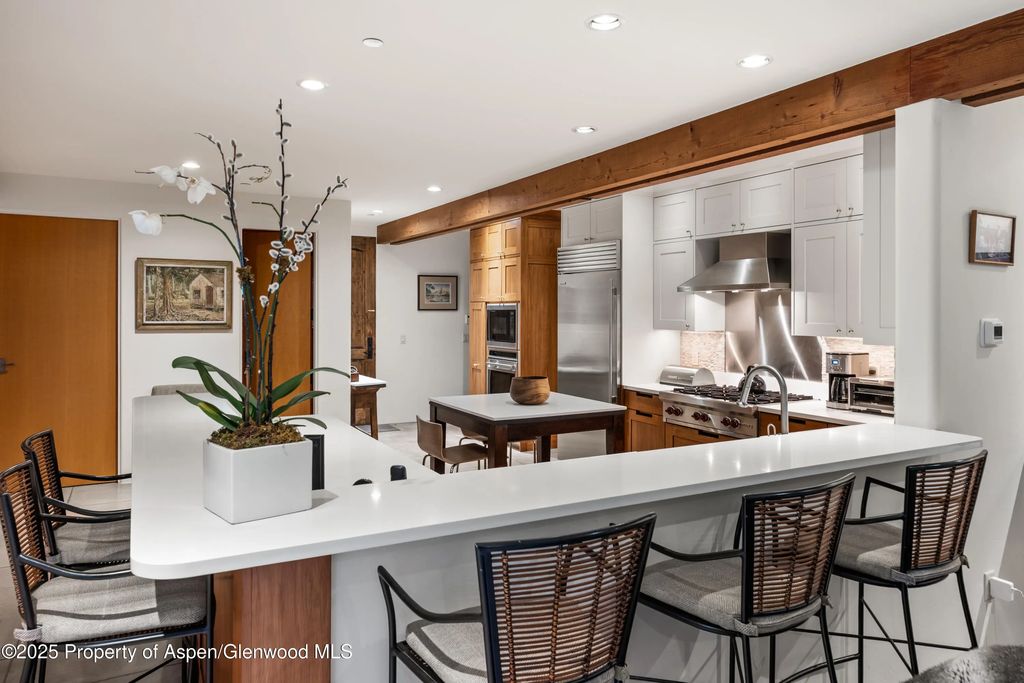 12 of 38 - 256 Twining Flats Road, Aspen, CO