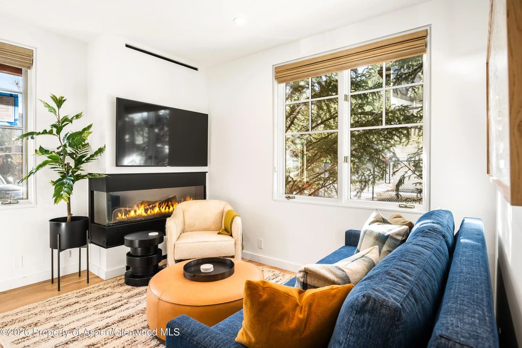 5 of 9 - 501 W Main Street A101, Aspen, CO
