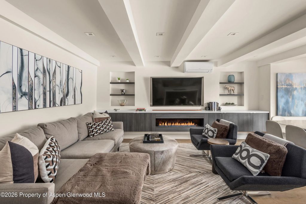 1039 E Cooper Avenue 20, Aspen
