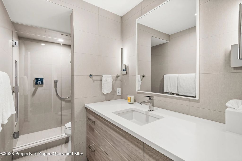18 of 22 - 1039 E Cooper Avenue 20, Aspen, CO