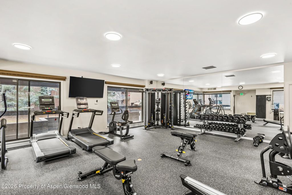 20 of 22 - 1039 E Cooper Avenue 20, Aspen, CO
