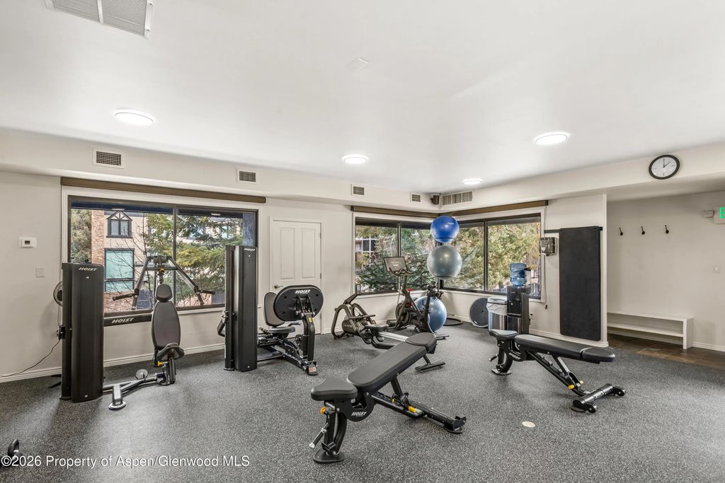 21 of 22 - 1039 E Cooper Avenue 20, Aspen, CO
