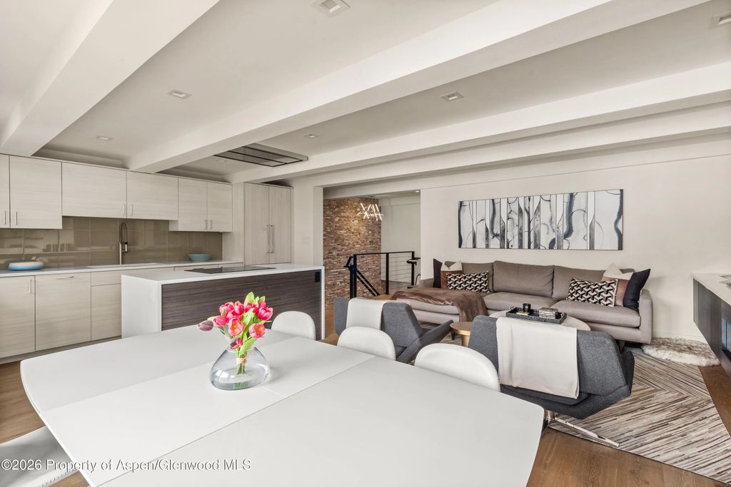 9 of 22 - 1039 E Cooper Avenue 20, Aspen, CO