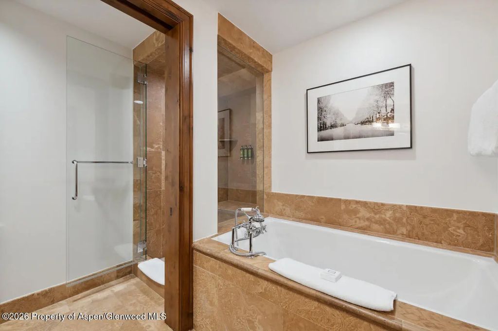 21 of 29 - 415 E Dean St., Unit 15, Weeks 51/52, Aspen, CO
