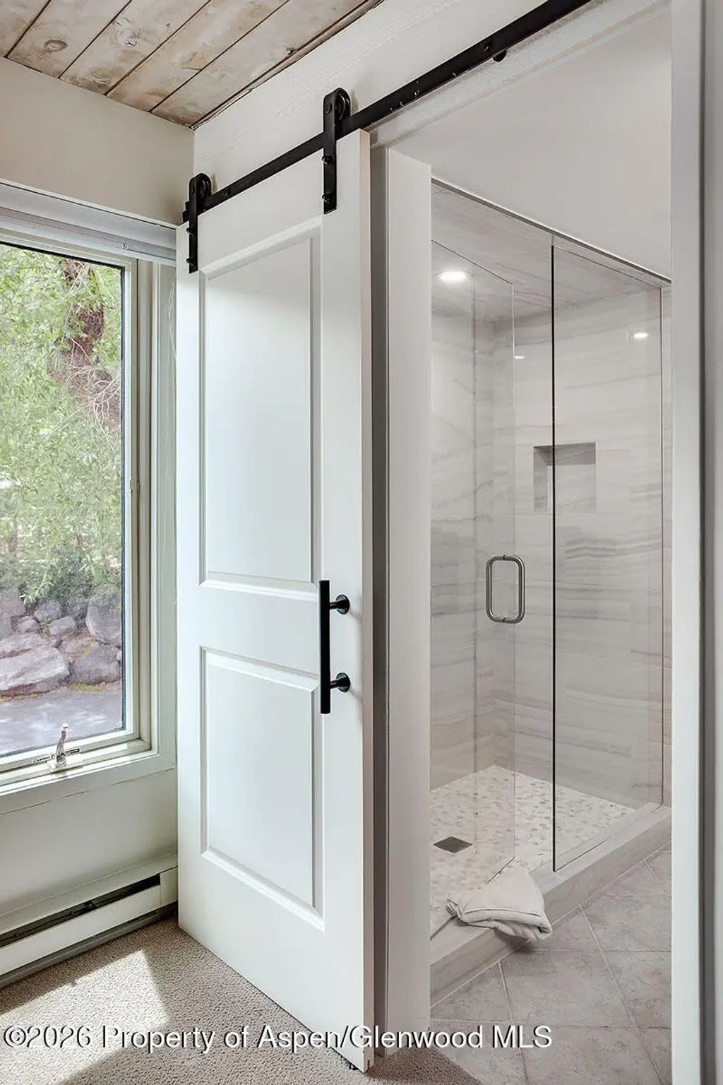 5 of 11 - 1039 E Cooper Avenue #41, Aspen, CO