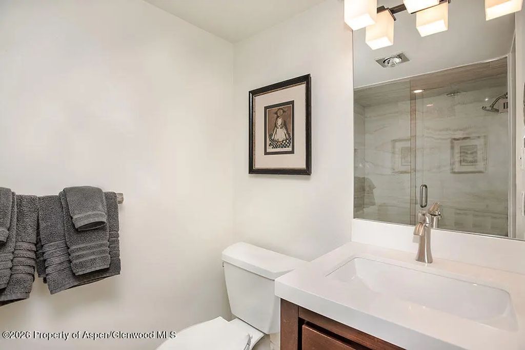 6 of 11 - 1039 E Cooper Avenue #41, Aspen, CO