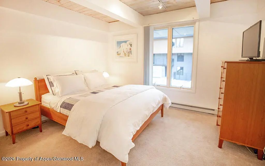 7 of 11 - 1039 E Cooper Avenue #41, Aspen, CO