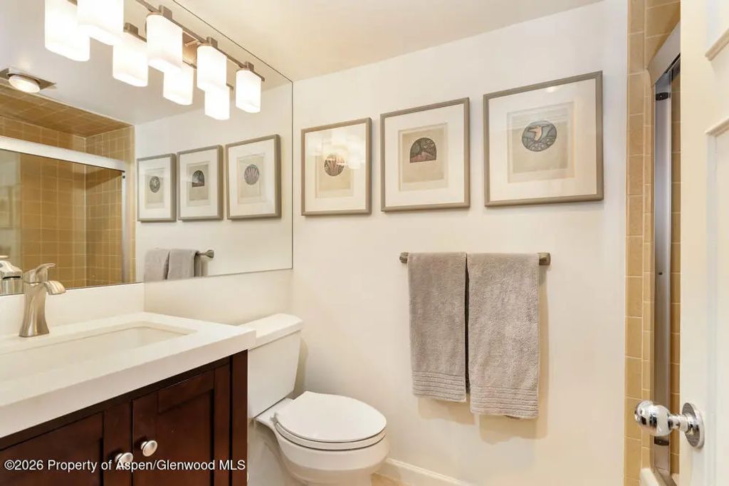 8 of 11 - 1039 E Cooper Avenue #41, Aspen, CO