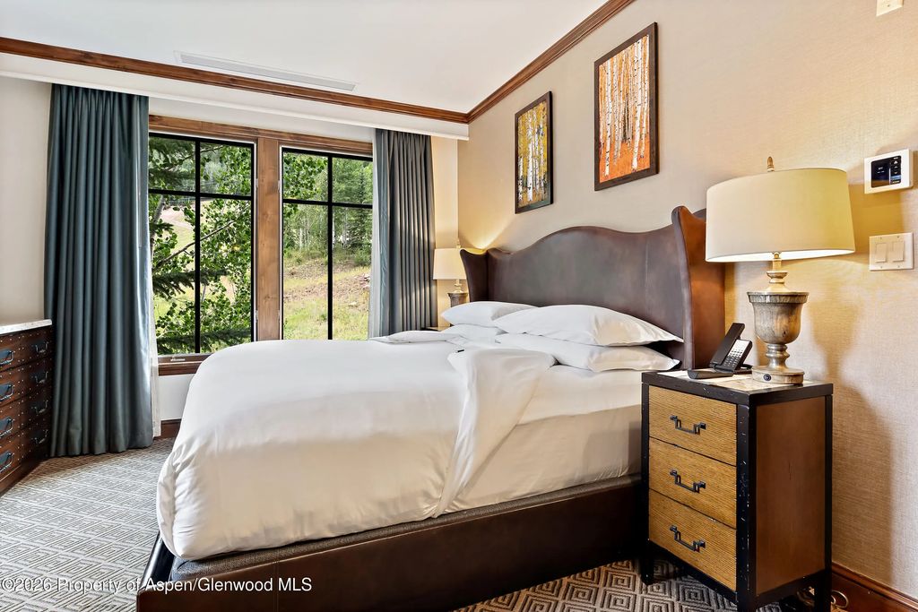 10 of 44 - 39 Boomerang Road 8210/winter Interest 3, Aspen, CO