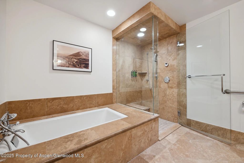23 of 36 - 415 E Dean St., Unit 36, Weeks 5 & 6, Aspen, CO