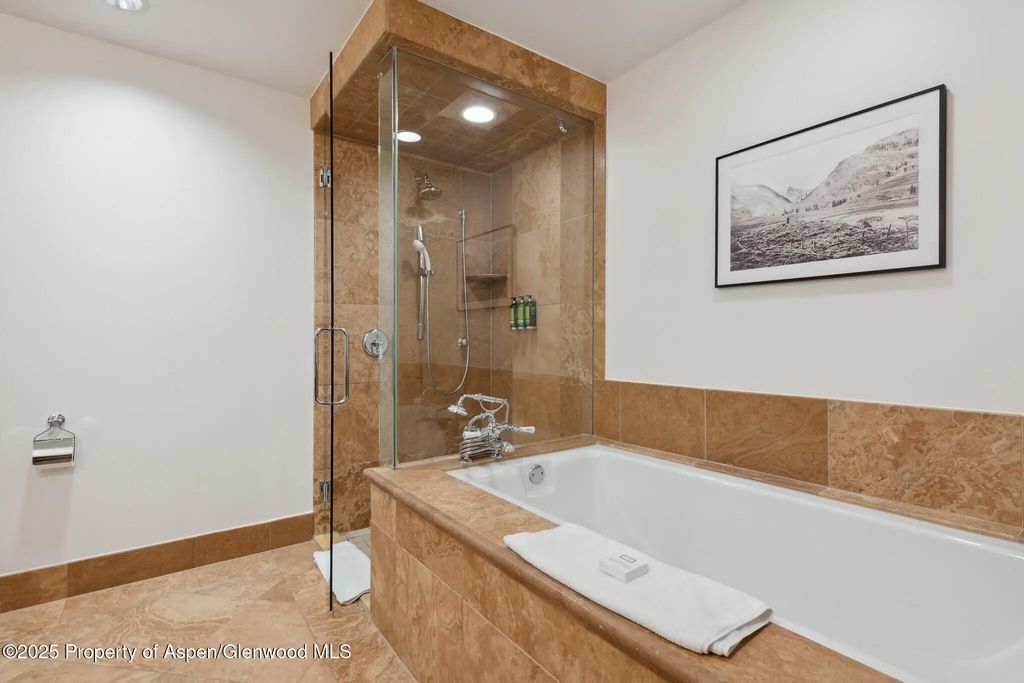 28 of 36 - 415 E Dean St., Unit 36, Weeks 5 & 6, Aspen, CO