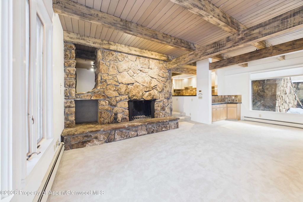 651 S Monarch Street 104, Aspen