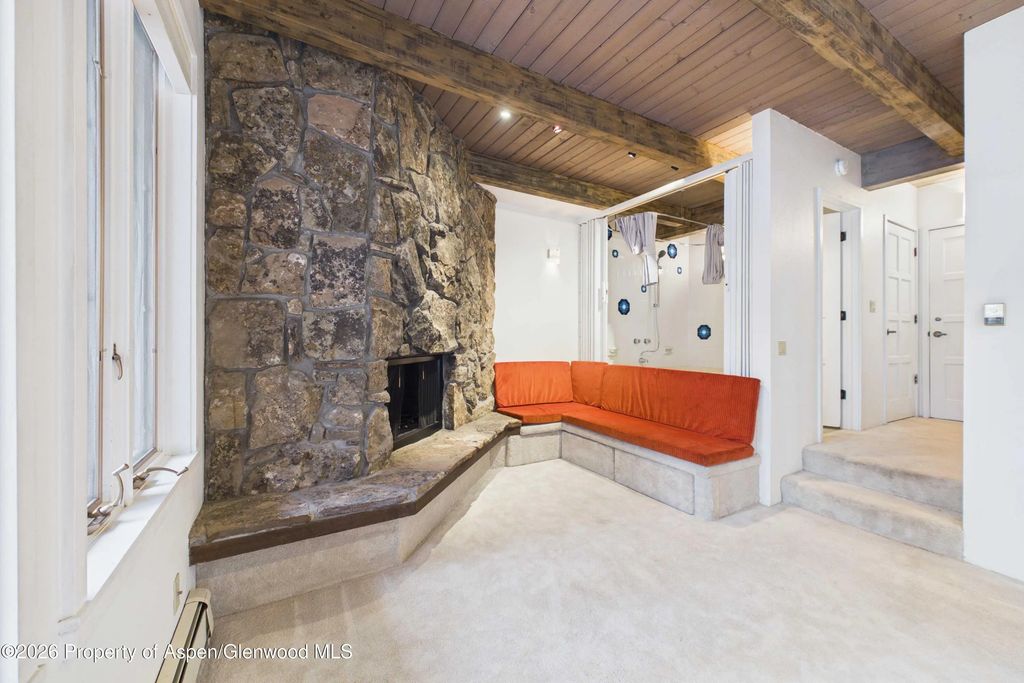 11 of 21 - 651 S Monarch Street 104, Aspen, CO