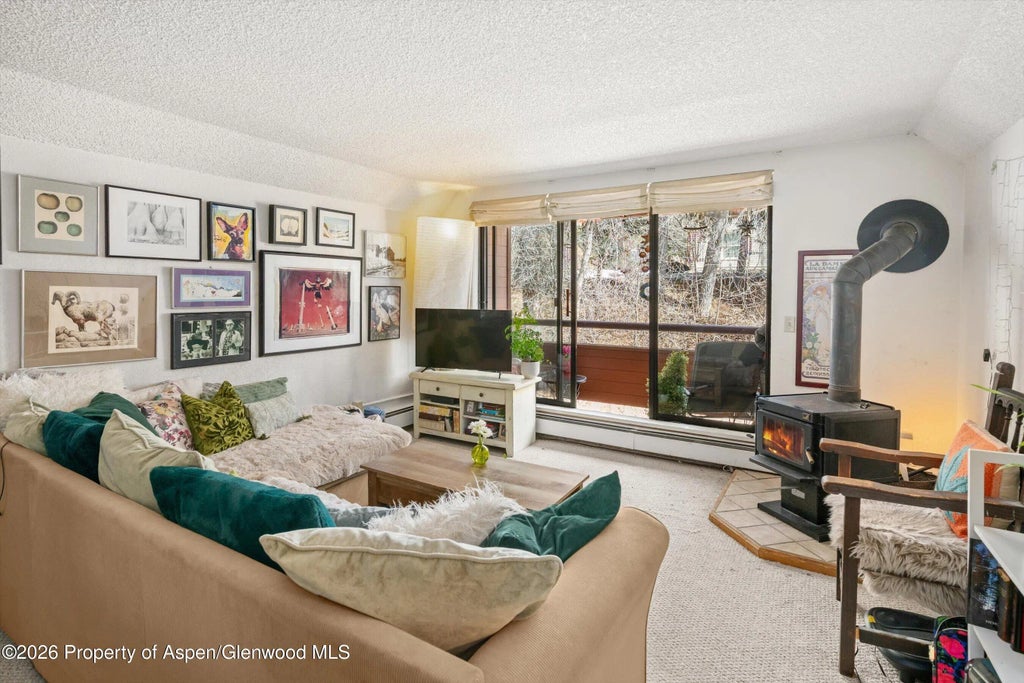 1325 Vine Street, Aspen