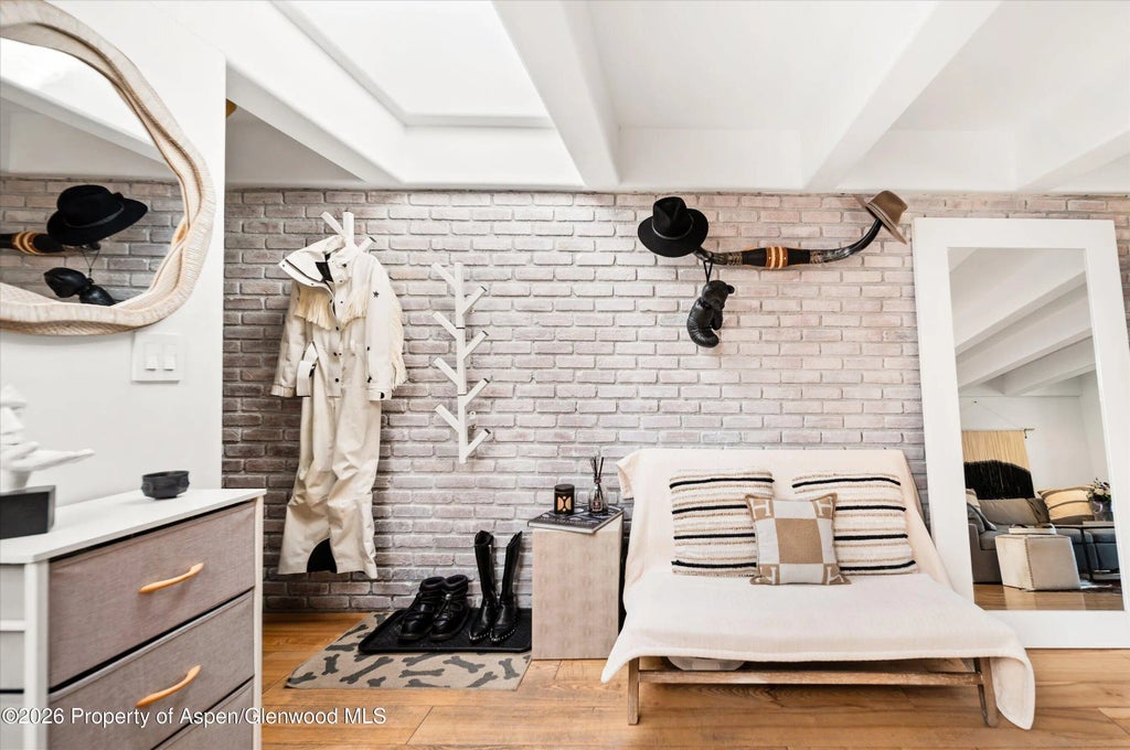 901 E Hyman Avenue 11, Aspen