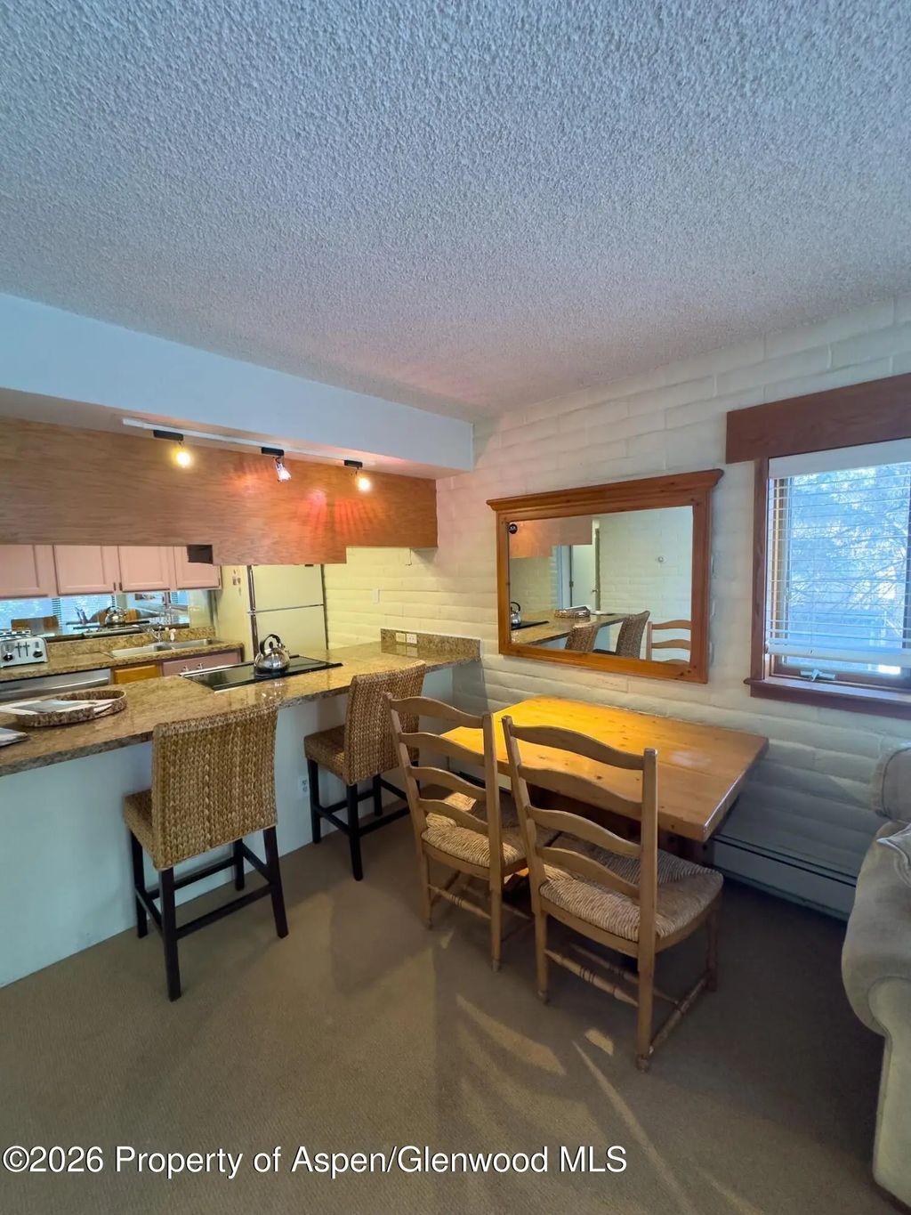 1 of 10 - 212 Vine Street 212, Aspen, CO