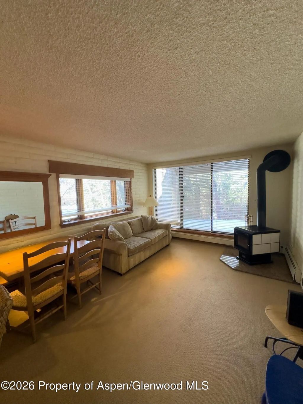 4 of 10 - 212 Vine Street 212, Aspen, CO
