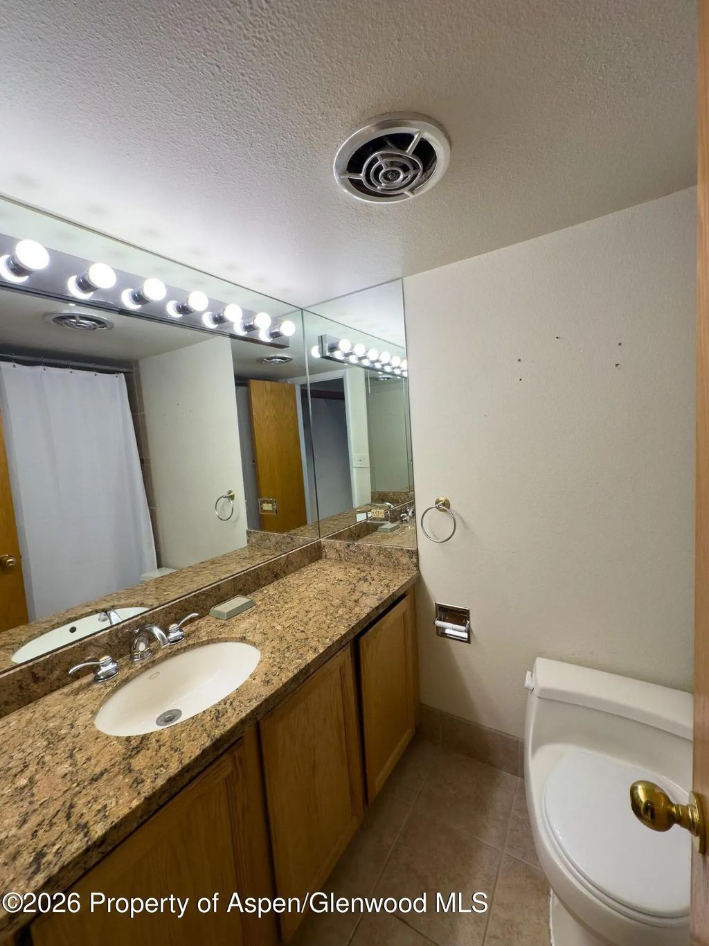 6 of 10 - 212 Vine Street 212, Aspen, CO