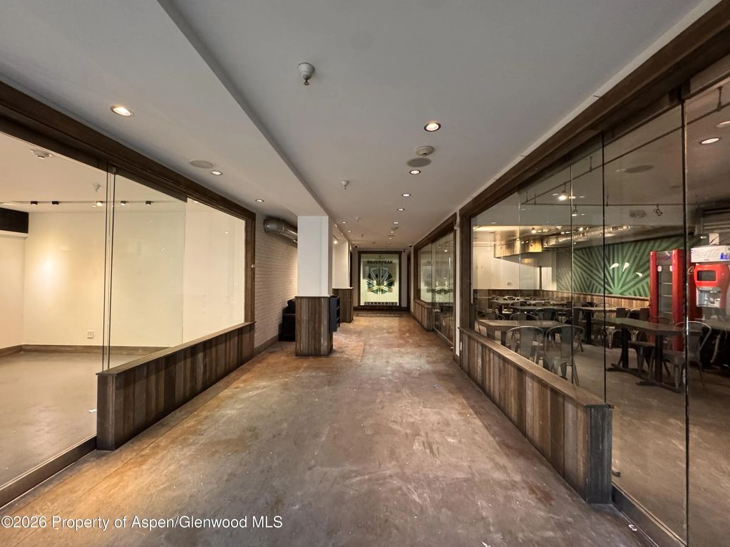 12 of 17 - 520 E Cooper Avenue Ll1 & Ll3, Aspen, CO