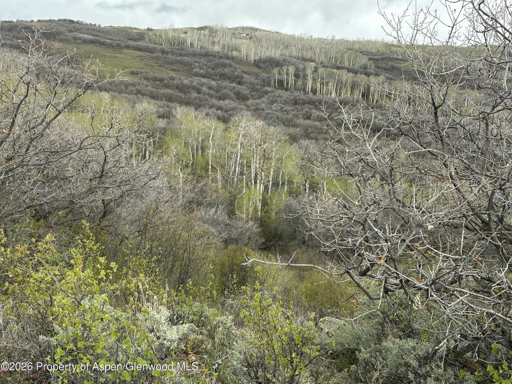 7 of 10 - 3511 Timberlane Drive, Craig, CO