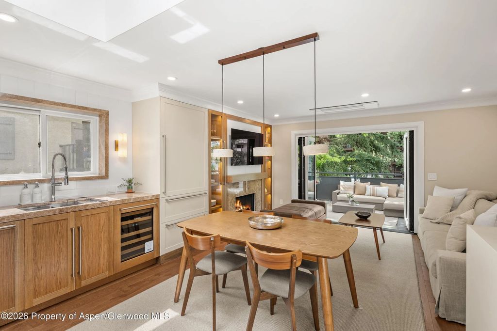 124 E Durant Avenue Unit 1, Aspen