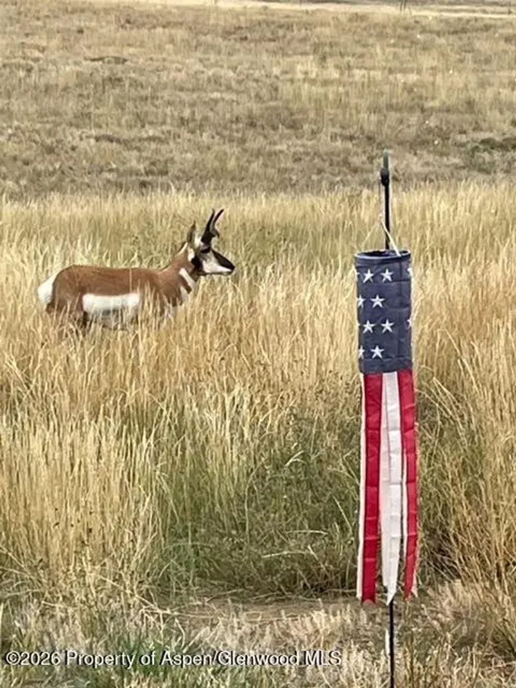 54 of 63 - 4724 County Road 30, Craig, CO