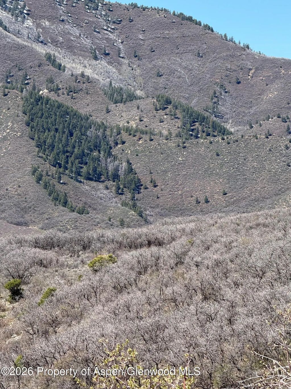 4 of 13 - 00 South Fork Road, Rifle, CO