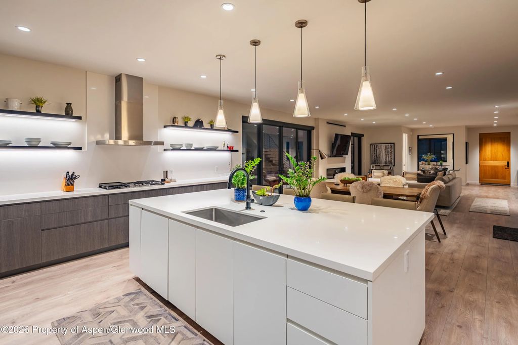 8 of 25 - 219 Juniper Court, Basalt, CO