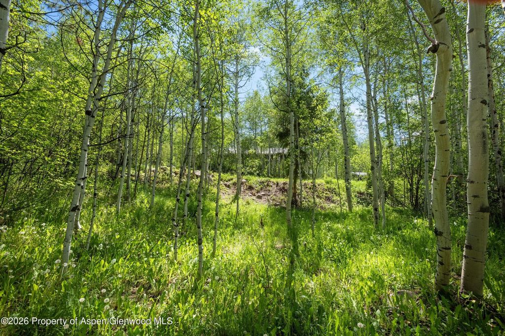 10 of 11 - 1265 Riverside Drive, Aspen, CO