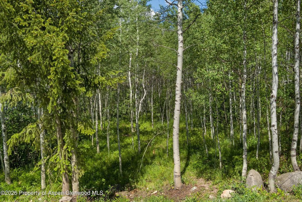 4 of 11 - 1265 Riverside Drive, Aspen, CO