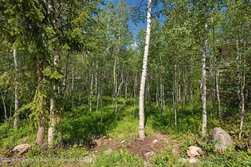 5 of 11 - 1265 Riverside Drive, Aspen, CO