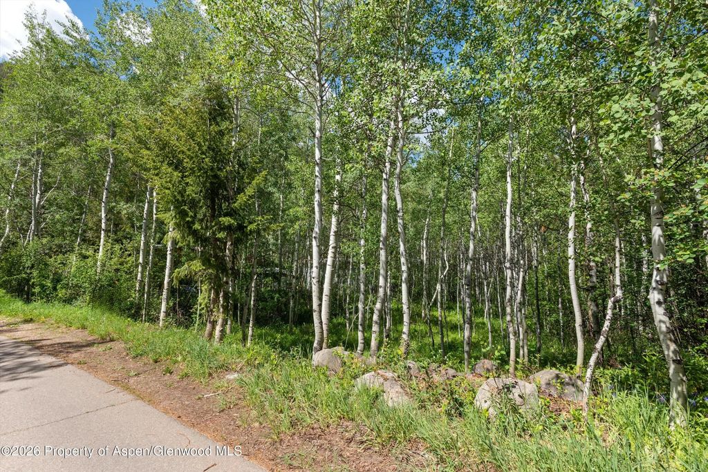 6 of 11 - 1265 Riverside Drive, Aspen, CO