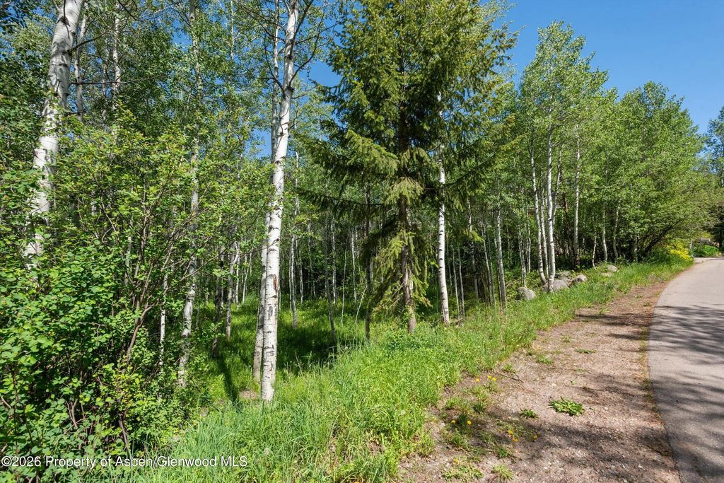 7 of 11 - 1265 Riverside Drive, Aspen, CO