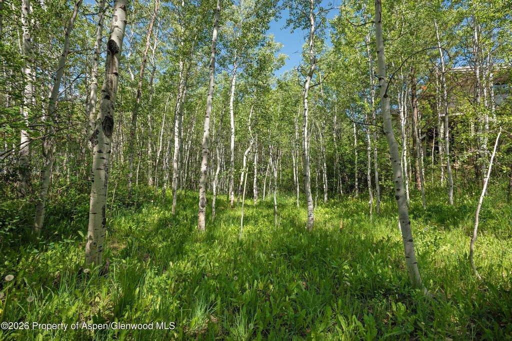 8 of 11 - 1265 Riverside Drive, Aspen, CO