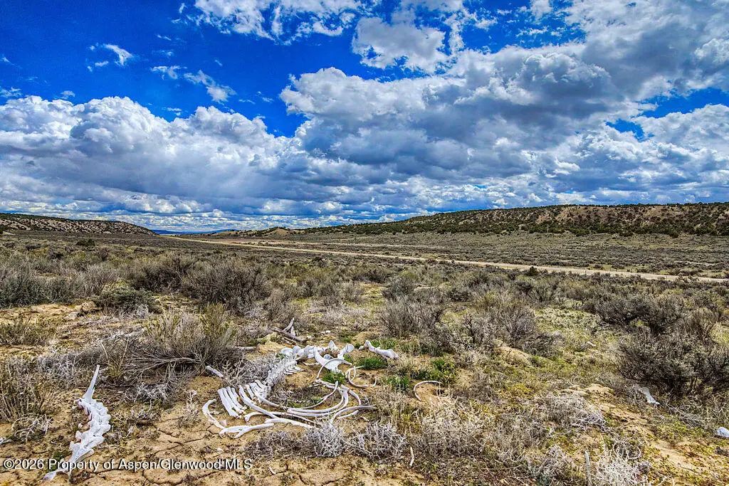 18 of 38 - 37801 Highway 318, Craig, CO
